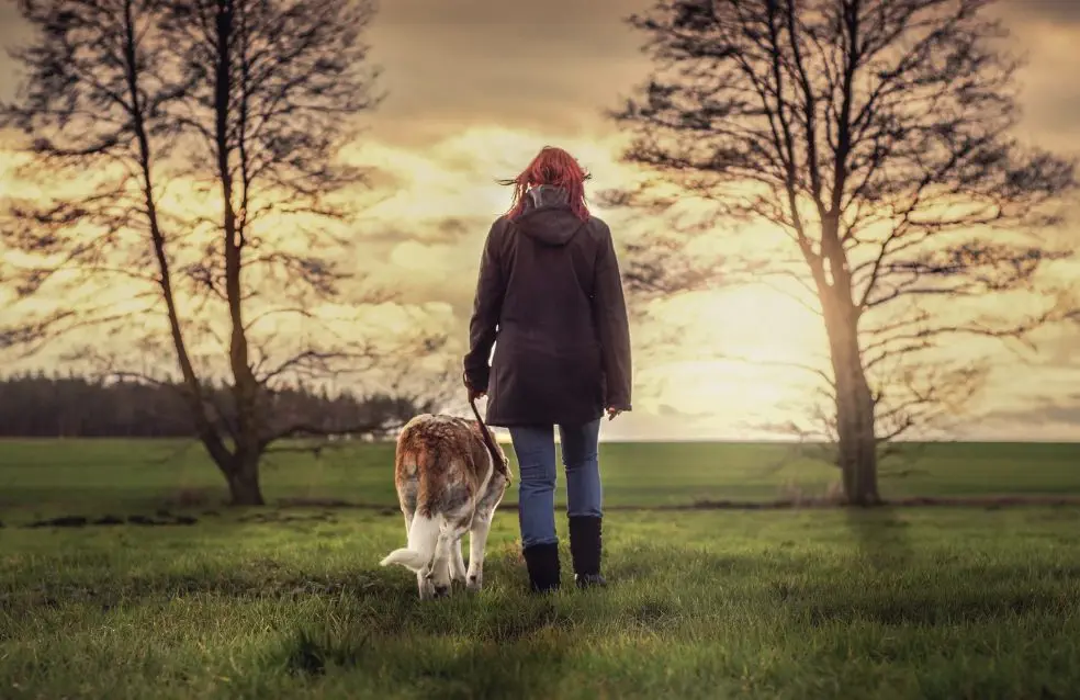 Hund und Herrchen